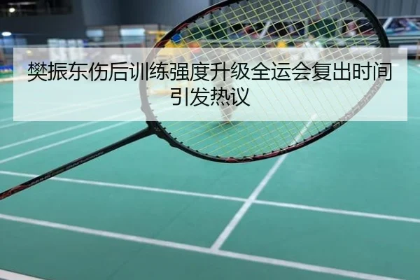 樊振东伤后训练强度升级全运会复出时间引发热议